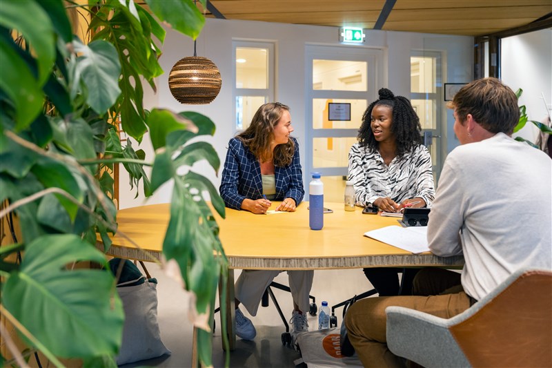 Advies en ondersteuning